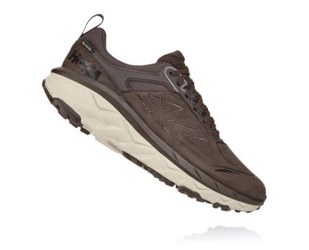 Hoka One One Challenger Low GORE-TEX - Tenis Corrida Largos Homem Cafes | PT-uufQhsR